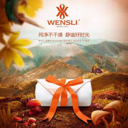 （永久下架）【享受舒适睡眠】万事利会呼吸的春秋蚕丝被 100%优质原生态桑蚕丝 商品图0