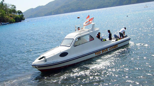 【度假村】印尼蓝碧YOS 潜水度假套餐--潜导经验丰富，适合摄影师 商品图5