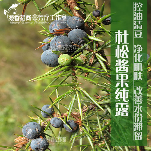 杜松浆果纯露500ml 芳疗专用