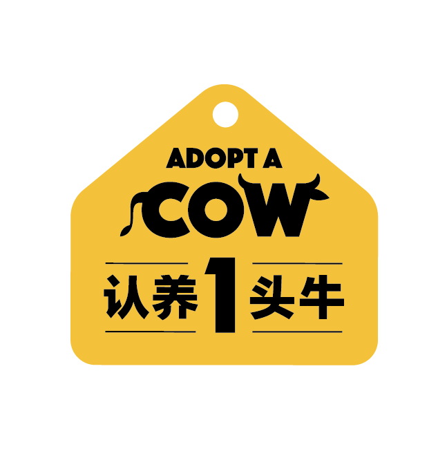 认养一头牛纯牛奶 两提装 (2月10日发货)