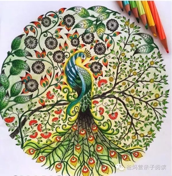 巅峰百万畅销,涂色书《秘密花园》全套4册,独家赠12色彩铅!