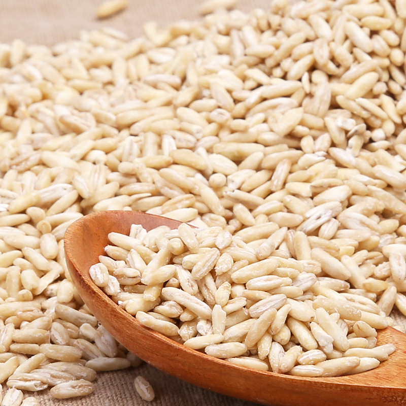 【新品上市】达兰咯喇 内蒙古产区 燕麦胚芽米 500g装