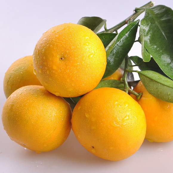 【宜昌馆】 秭归脐橙桃叶橙 橙子新鲜水果 甜橙