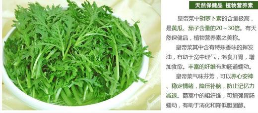 301皇帝菜 500克 商品图1