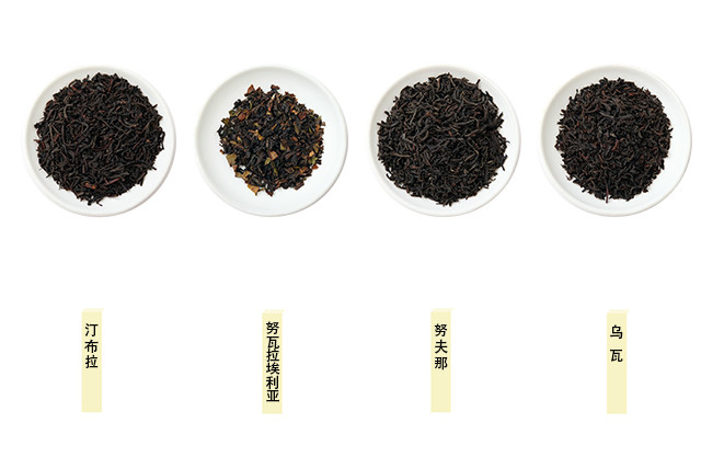世界三大高香红茶图片