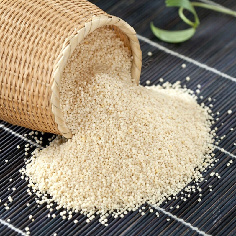 大拇哥农业基地出品白小米一斤