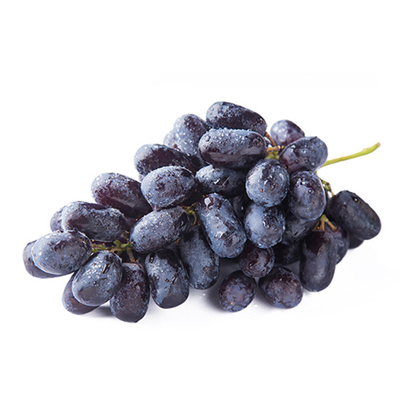 新品南非无籽黑提