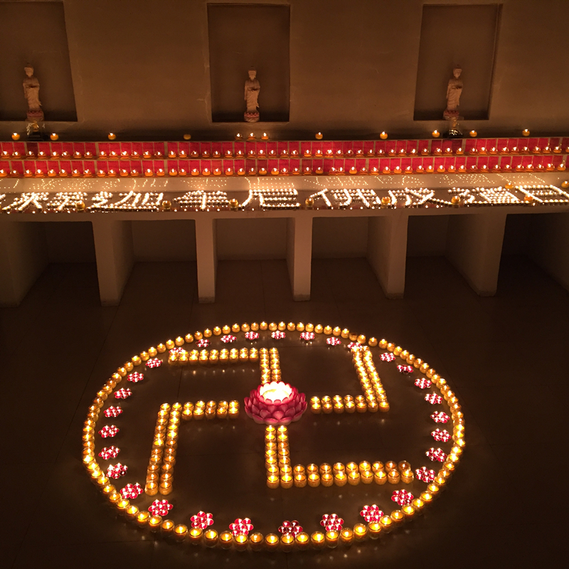 2017����Ĳ���ɵ��ա������۹����������޻ع�