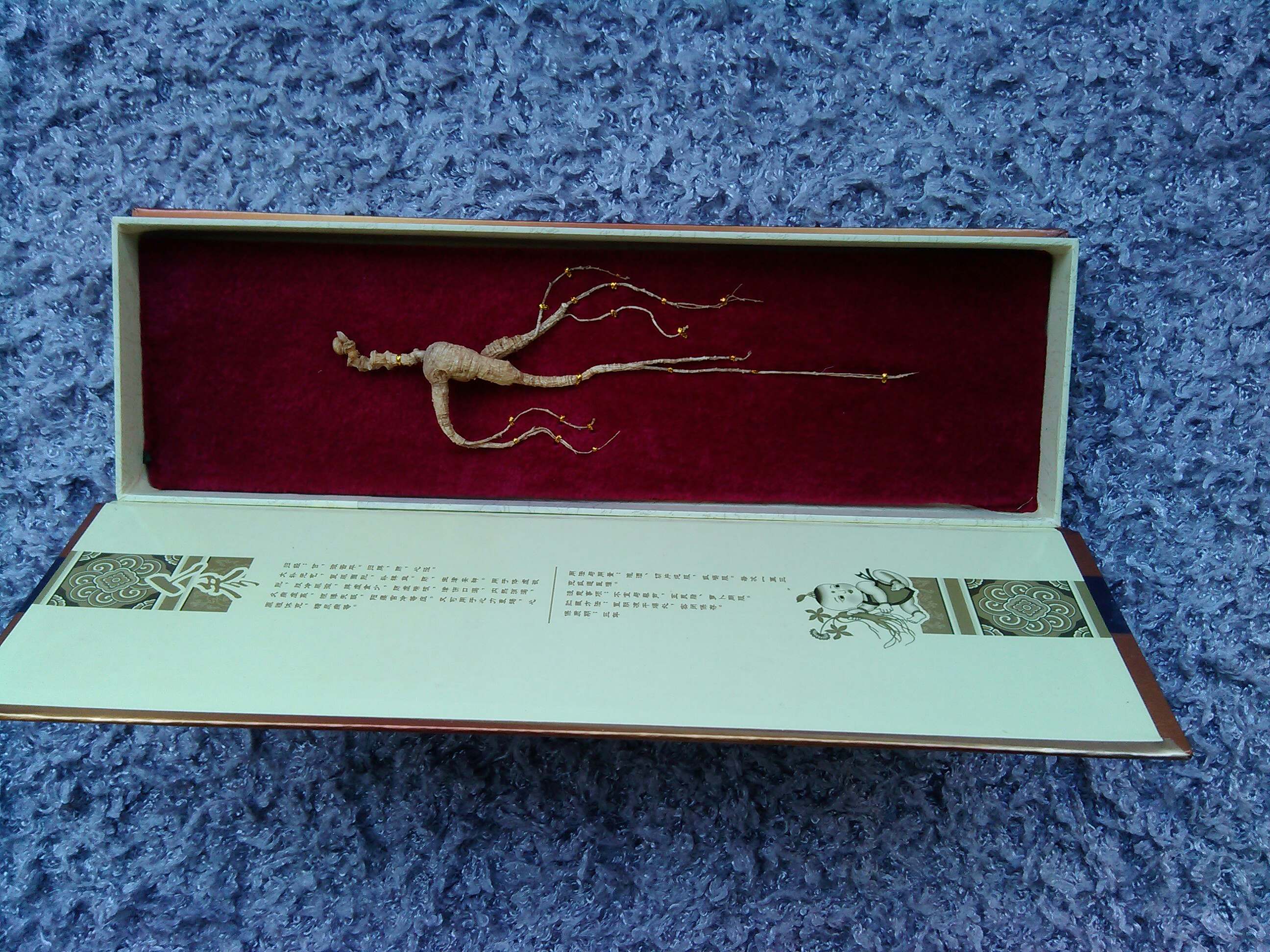 干石柱参 生长期10至12年 一棵价格 (新疆,西藏不包邮)