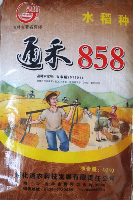 通禾819水稻品种图片