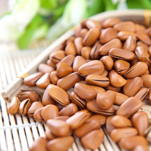 东北纯野生手剥开口松子500g分2罐装大颗粒天然坚果年货干果包邮