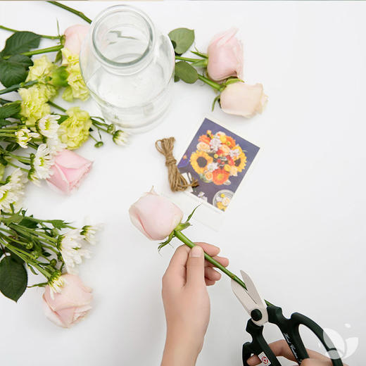 【兑换专用】Nature自然系列 | 混合版双周花束，花点时间热销。混合花束，周周不同，品种随机。 商品图3