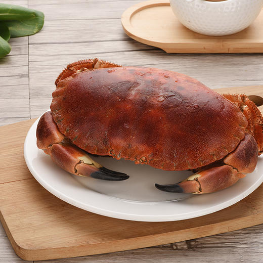 【元宵精选 顺丰空运】爱尔兰黄金蟹600-800g 个大肉多 蟹黄厚实 - 插