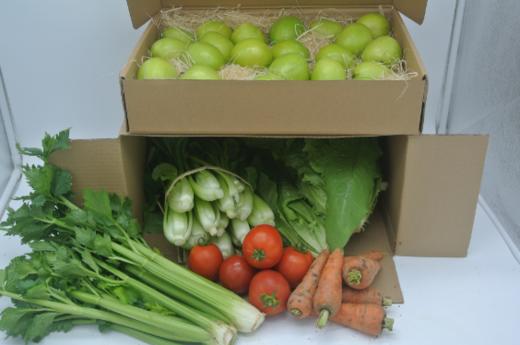 年货·果蔬礼包二 商品图0