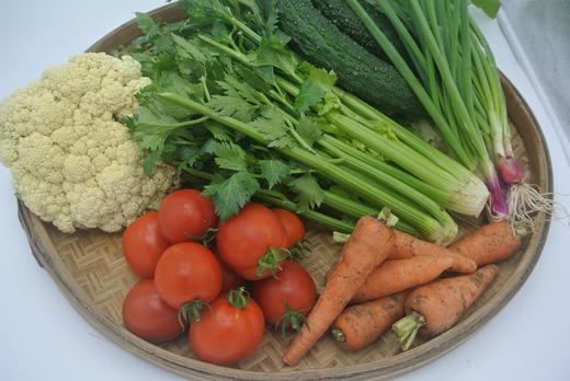 年货·果蔬礼包二 商品图1