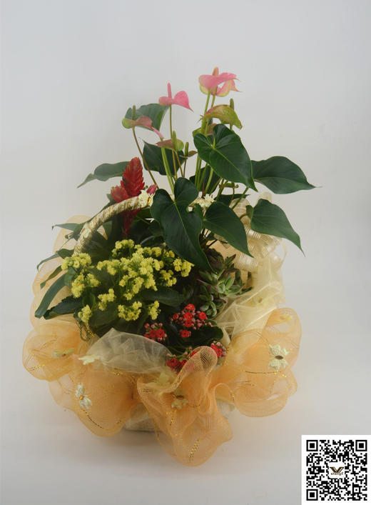 麻网（高品质，大厂货，50CM*7YDS,不包邮） 商品图2