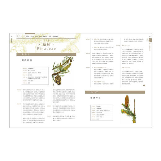 芳疗实证全书 温佑君 肯园芳疗师团队 著 成为专业芳疗师的必备圣经 中信出版社图书 畅销书 正版书籍 商品图4