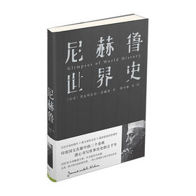 尼赫鲁世界史 人类理想与艰辛的沉思录 印度国父尼赫鲁著