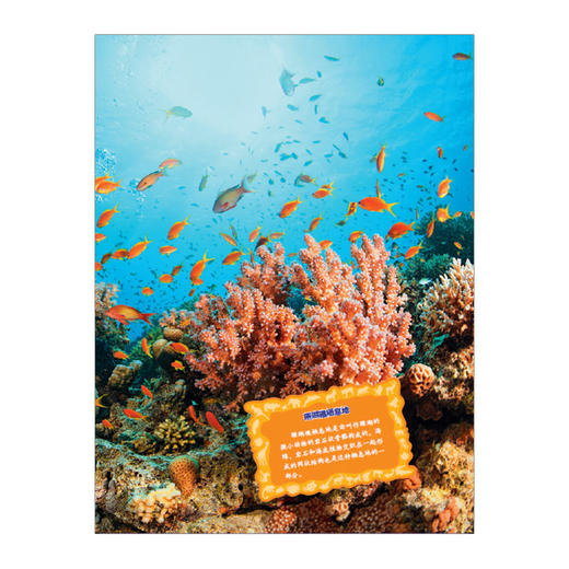 谁能吃掉谁（第1辑）：加勒比海珊瑚礁食物链大揭秘 商品图2