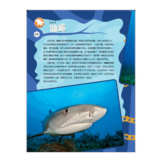 谁能吃掉谁（第1辑）：加勒比海珊瑚礁食物链大揭秘 商品图3