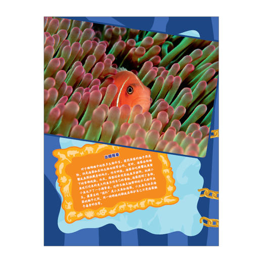 谁能吃掉谁（第1辑）：加勒比海珊瑚礁食物链大揭秘 商品图4