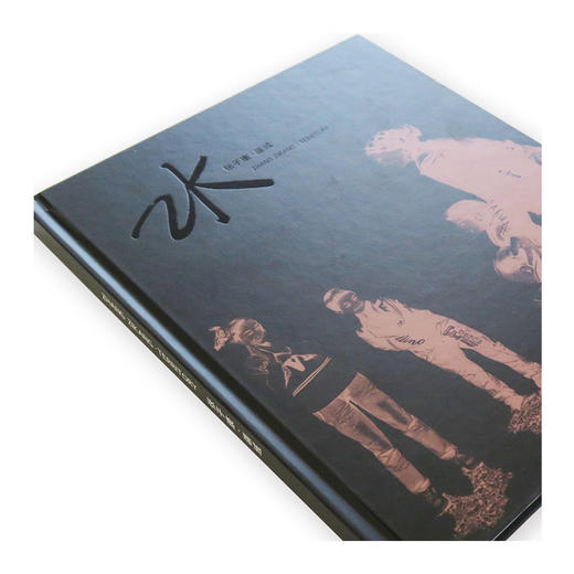 包邮 张子康-疆域 张子康 著 所思所感尽在镜头之中 商品图1