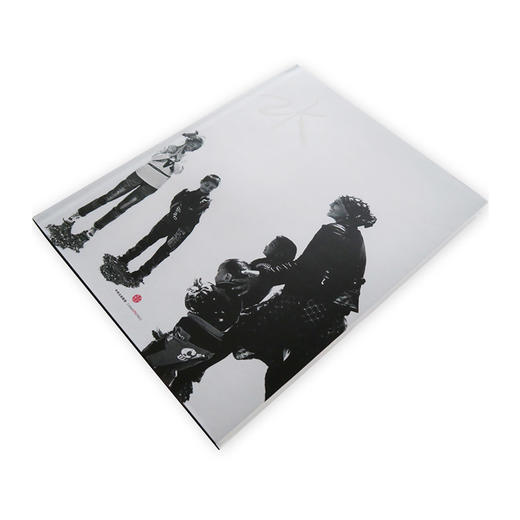 包邮 张子康-疆域 张子康 著 所思所感尽在镜头之中 商品图2