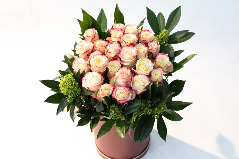 厄瓜多尔经典甜心玫瑰抱抱桶(19枝)