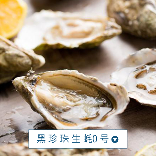 黑珍珠生蚝0号(售罄,不发货)