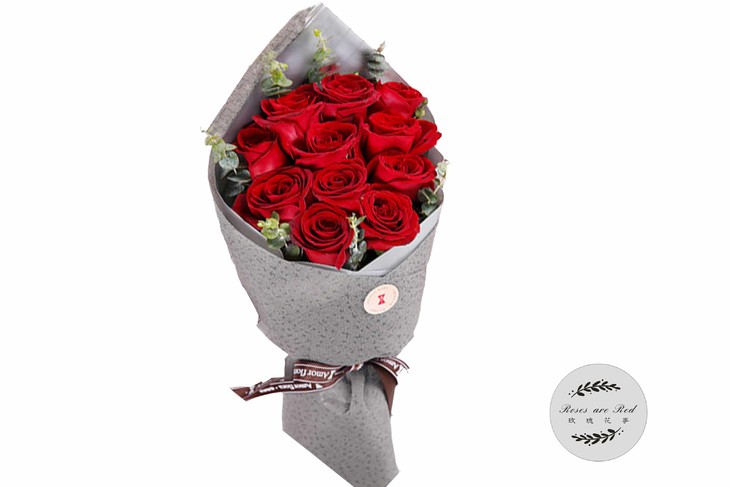 159元:11朵束装红袖(粉色玫瑰)