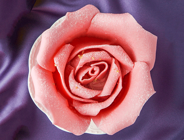 爱之心语·玫瑰花初恋套装Valentine's Day Set （优惠不同享）