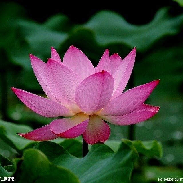 主要经营生活用品 扫描二维码,访问我们的微信店铺