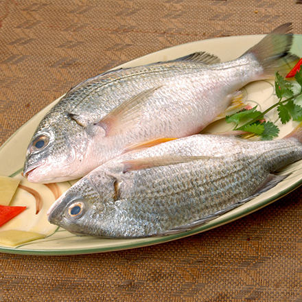 黄墙鱼 500g(按实量计)