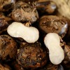 脆吉吉马蹄  产地直供 更甜的大荸荠 商品缩略图11