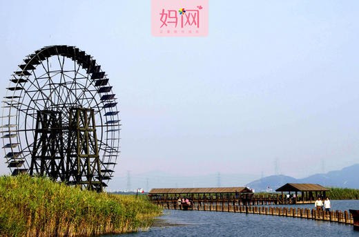 【妈网春游】2017/3/4 周六 苏州太湖湿地+植物科普馆+熊猫馆，科博馆发车，途径保利电影院 商品图0