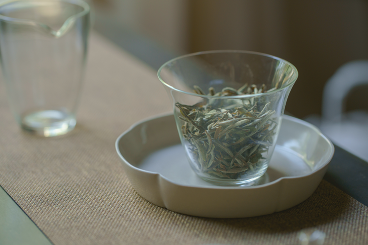 第二十四期『春暖待花开』福鼎白牡丹