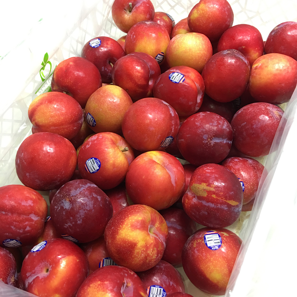 【全国包邮】智利进口深红李(red plum)继续热销中!