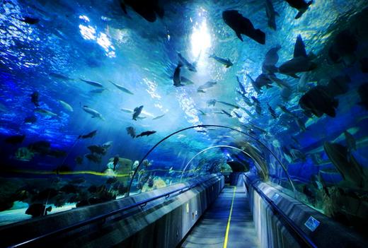 【妈网春游】长风海洋世界3.5日-张浦在肯德基发车途径锦溪在富港厂门口 商品图0