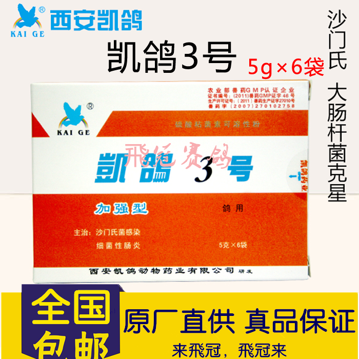 【凯鸽3号】赛鸽肠炎,沙门氏菌,调整食欲,不消化