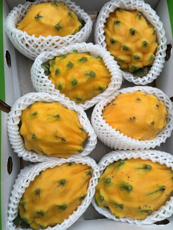 【宏丰精选】哥伦比亚燕窝果,麒麟果,水晶肉质