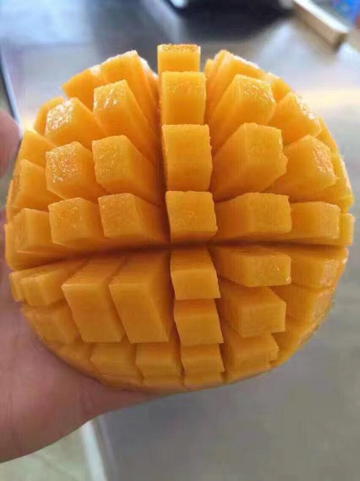 台湾水仙芒 8个/箱