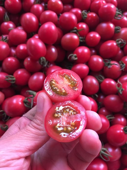 【宏丰精选】玲珑千禧圣女果女果 小 西红柿 小番茄 小樱桃 - 宏丰果