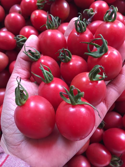 【宏丰精选】 海南陵水千禧圣女果女果 小 西红柿 小番茄 小樱桃蔬菜