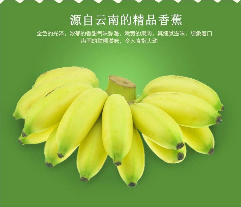 云南小米蕉 帝王蕉 小芭蕉5斤装