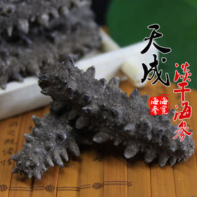 海宽海参天成系列淡干海参260g深海野生刺参包邮