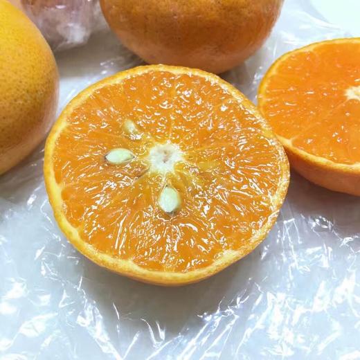 【京津冀包邮】台湾 茂谷柑约6斤重  Honey Murcott 皮薄肉嫩 水嫩爽口 蜜甜多汁 商品图2