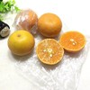 【京津冀包邮】台湾 茂谷柑约6斤重  Honey Murcott 皮薄肉嫩 水嫩爽口 蜜甜多汁 商品缩略图8
