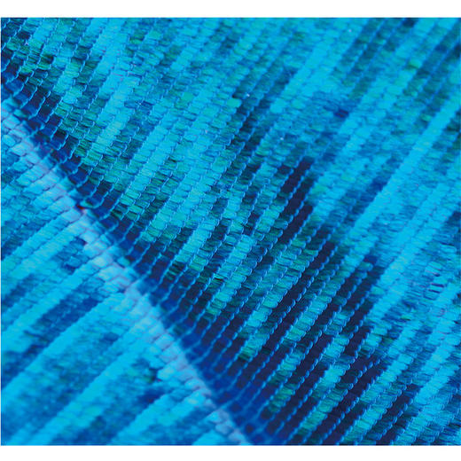 迷蝶-分销 商品图4