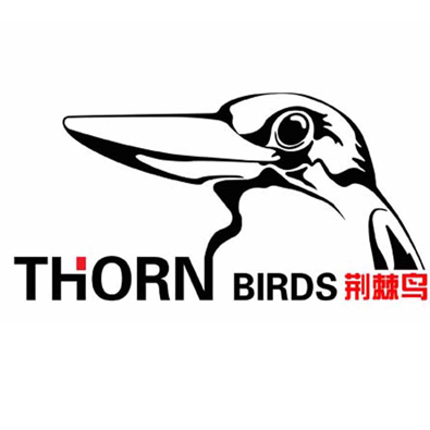 荆棘鸟时尚运动品牌180916