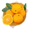 春见耙耙柑4个650g+ 商品缩略图1